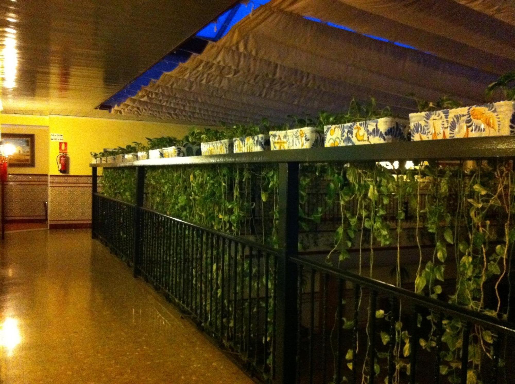 Hotel Sandra Alcala de Guadaira Bagian luar foto